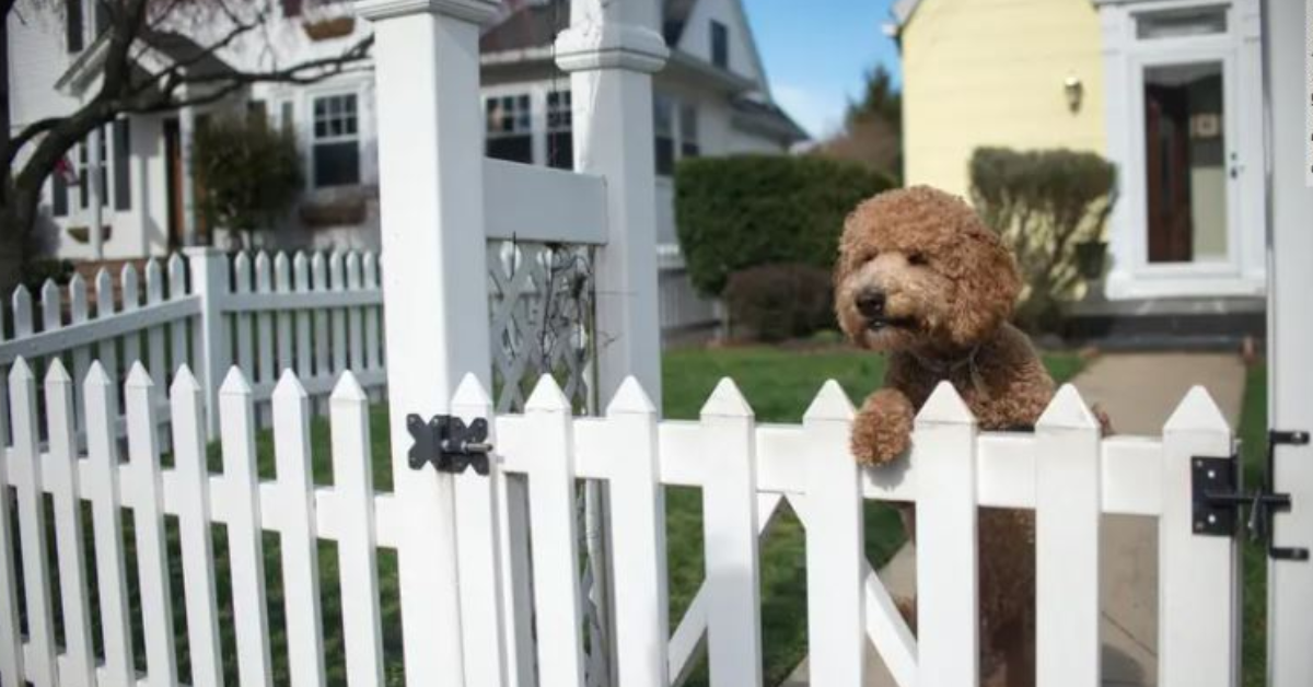 Does home insurance cover fences? Smart Insurance Tips